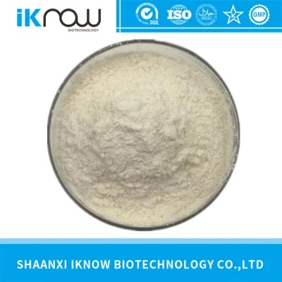 Health Raw Material Product Xanthan Gum CAS No.: 11138-66-2